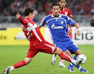 固有的文化 固有的文化