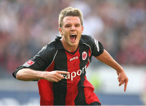 在声明中 在声明中